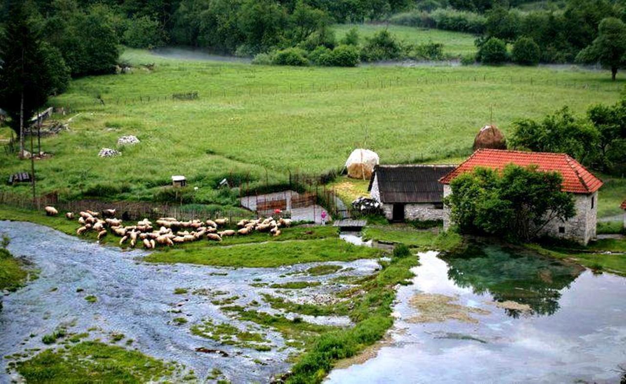 Hotel Rosi Gusinje Exteriér fotografie